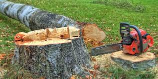 Best Tree Mulching  in Mosinee, WI